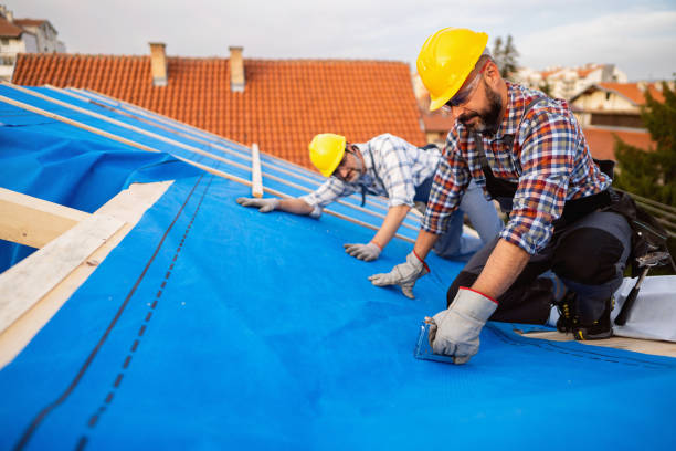 Best Roof Maintenance Services  in Felton, CA